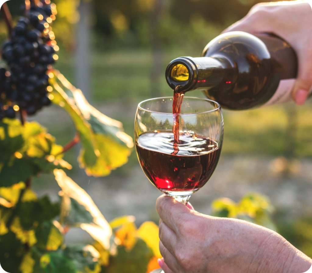 service de vin dans un vignoble bordelais